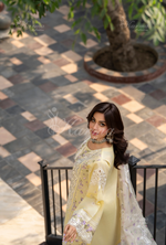 Rang Ja Fully Embroidered Farshi Shalwar 1486 Karma Collection SUNLIT Chikankari Multi Thread Embroidery