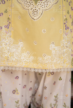 Rang Ja Fully Embroidered Farshi Shalwar 1486 Karma Collection SUNLIT Chikankari Multi Thread Embroidery