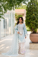 Rang Ja Fully Embroidered Farshi Shalwar 1486 Karma Collection FROZEN DEW Chikankari Multi Thread Embroidery