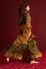 Sunoora | Nooresha By Emaan Adeel | Embroidered 3 Piece Chiffon Suit Stitched | Eid 2025