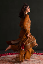 Zarang | Nooresha By Emaan Adeel | Embroidered 3 Piece Chiffon Suit Stitched | Eid 2025