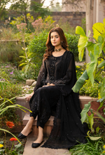 Chiffon 3 Piece Embroidered Hayat Karma Collection DARK RAVEN F-497