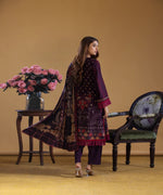 3PC DHANAK Collection By Sitara 43