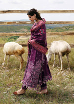 Hussain Rehar Jamni khaddar Stitched