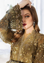 MPC-24-108 - Stitched - Maria B Embroidered Chiffon 2024