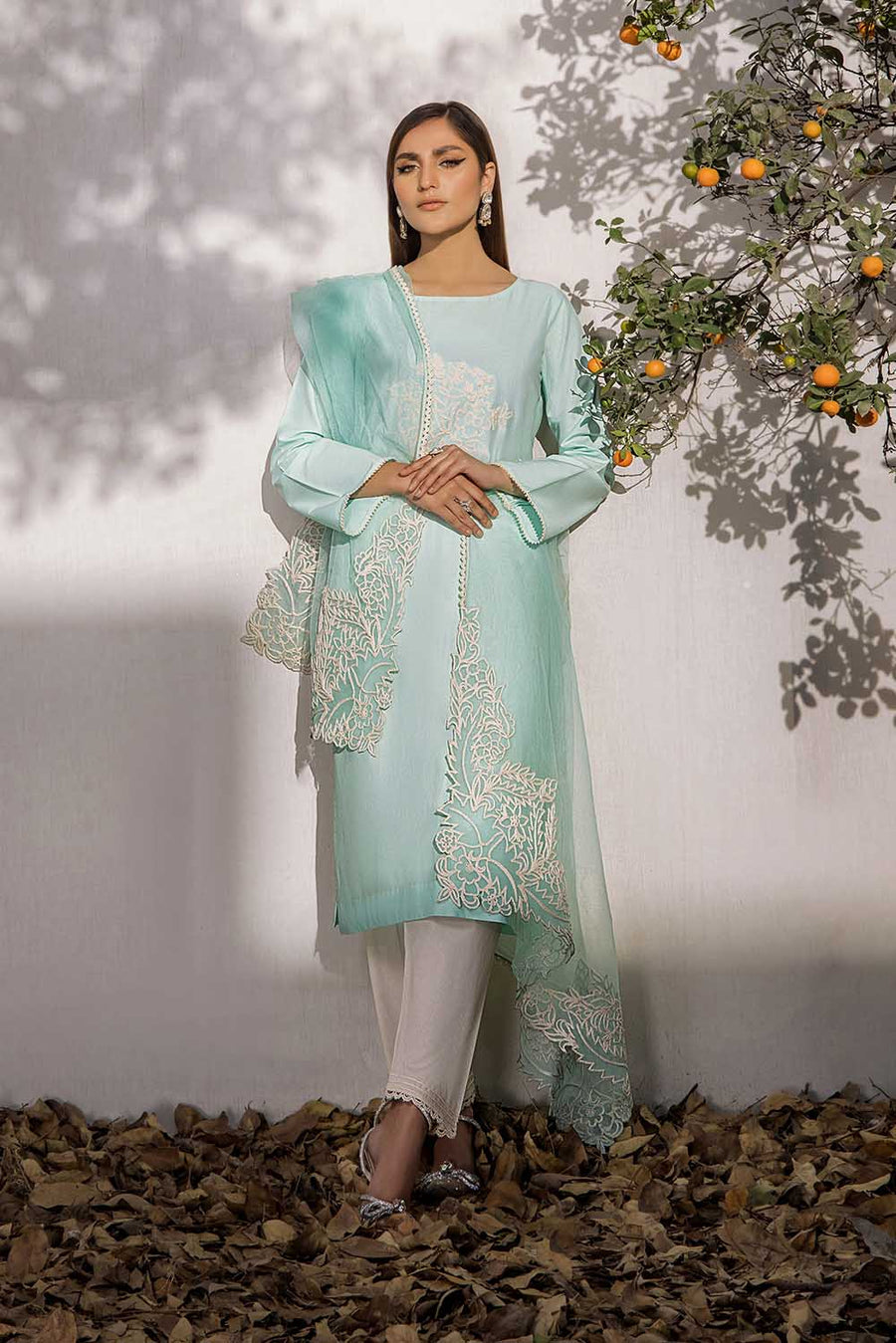 Shahz F 123