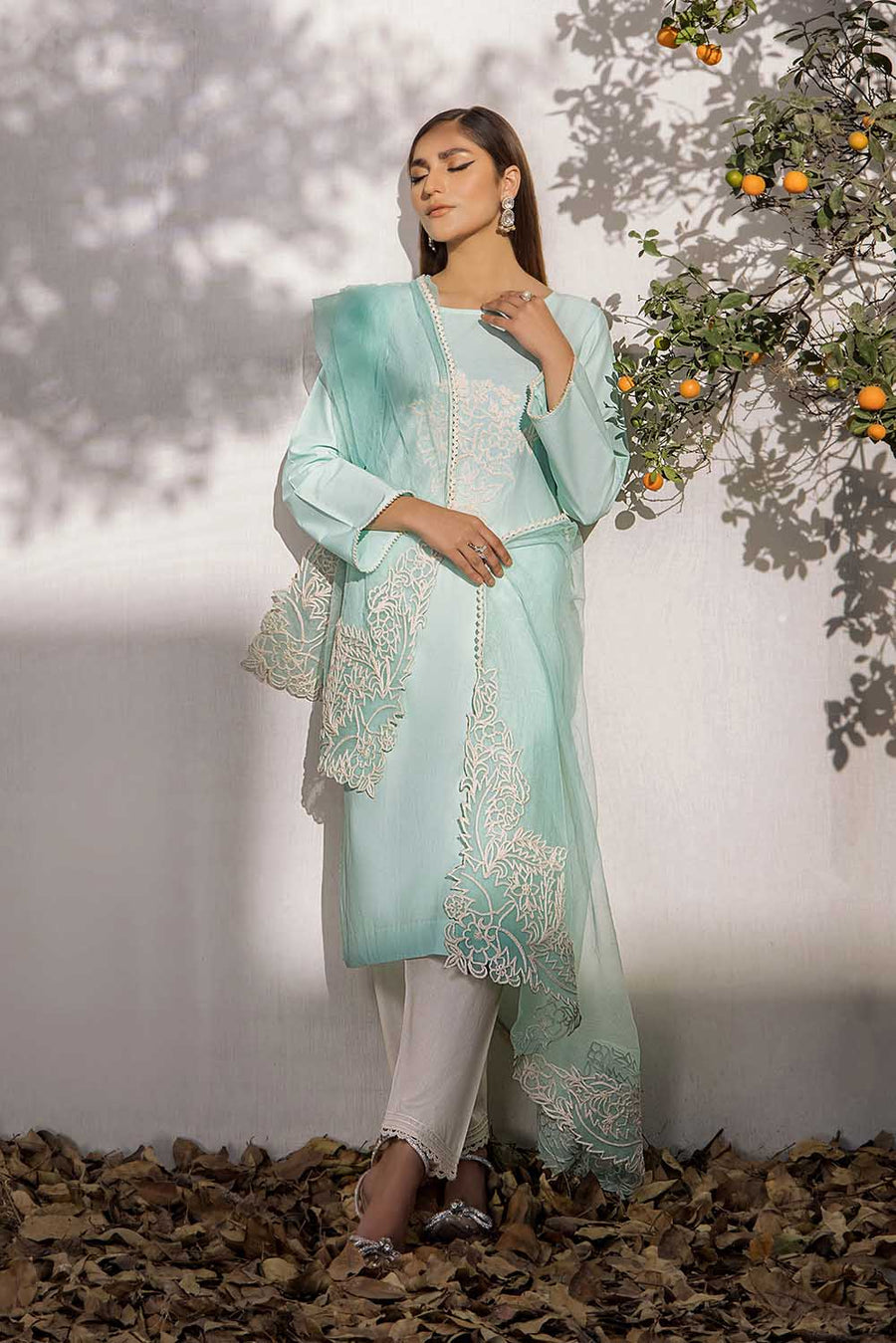 Shahz F 123