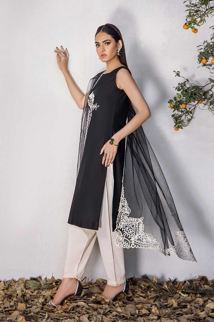 Shahz F 123