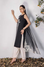 Shahz F 123