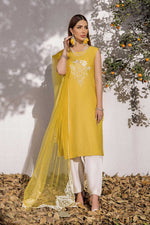 Shahz F 123