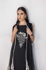 Shahz F 123