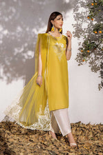 Shahz F 123