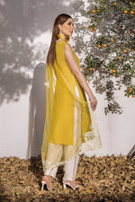Shahz F 123