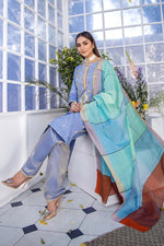 Shahz P 234