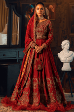 Rang Pasand ZQR23-004