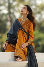 CHARIZMA SIGNATURE VOL 1 WINTER 2025-3-PC Stitched Peach Leather with Velvet CSW5-08