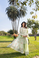 Chaand-Raat BY Karma Collection PALE GREEN KC-1554
