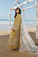 Qalamkar SA-07 Hira mustard dress back view with printed dupatta