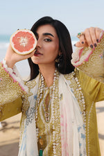 Qalamkar SA-07 Hira mustard suit close up neckline embroidery detail