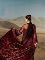 Amelia Luxury Winter '25 CK-007 | 3 PC Kotrai