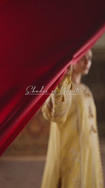 Florent shades-of-winter 3 piece stitched suit Embroidered Shirt With Embroidered Shawl FWS - 5B